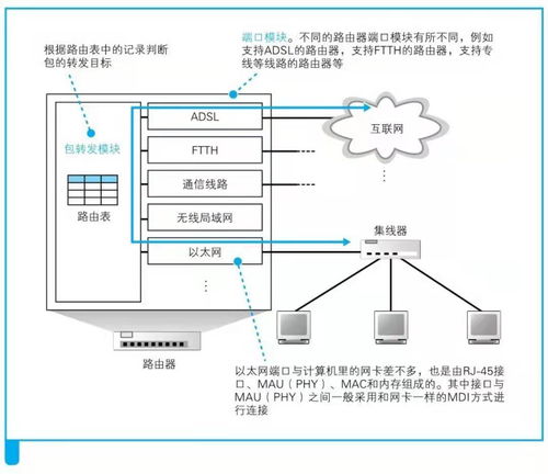 从网络到网络设备 探索集线器、交换机和路由器的功能与区别